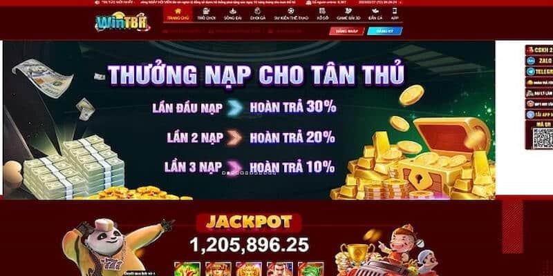 Những lưu ý khi tham gia nạp tiền Wintbr