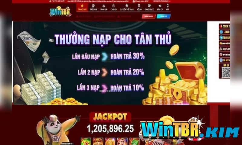 Đánh giá wintbr thông qua nhiều yếu tố khách quan khác nhau